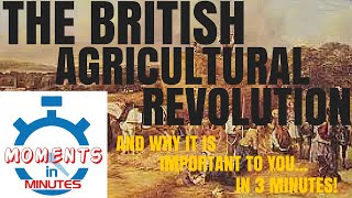 THE BRITISH AGRICULTURAL REVOLUTION and why it is important to you in 3 minutes [upl. by Adnah]