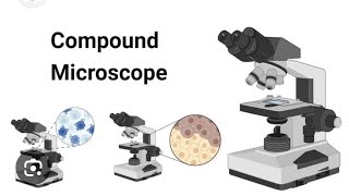 Compound microscope 🔬 working principle [upl. by Neih]