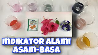 Indikator Alami Asam Basa  Natural Acid and Base Indicators  Fun In Chemistry [upl. by Toolis671]