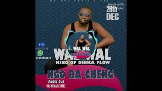 Wal Wal  Yengo Ba Cheng Audio Mading Aweil Star New South Sudan Music 2024 [upl. by Naejamron147]