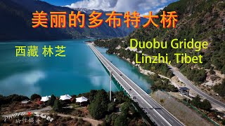 美丽的多布特大桥  Duobu Bridge Linzhi Tibet 2023 [upl. by Amek]