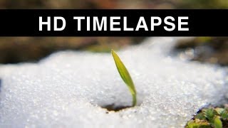 Time lapse of Snow melting HD [upl. by Rezal]