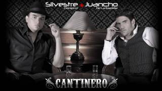 El Cantinero  Silvestre Dangond [upl. by Eenolem]