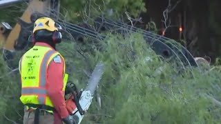 Windy weather downs trees in SoCal [upl. by Noraf]