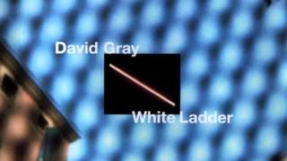 David Gray  White Ladder Official Audio [upl. by Elokcin]