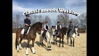 CLASSIC meets WORKING 2018  Pferd International 2018  Dressur vs Working Equitation [upl. by Ahseikal]