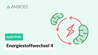 Energiestoffwechsel Teil 4  Fettsäuren und CarnitinCarrier  AMBOSS Auditor [upl. by Svoboda932]