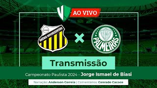 Novorizontino x Palmeiras  Transmissão ao vivo [upl. by Eteragram]