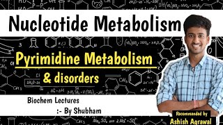 Pyrimidine Metabolism amp Disorder  Nucleotide Metabolism  Biochemistry Lectures [upl. by Brecher]