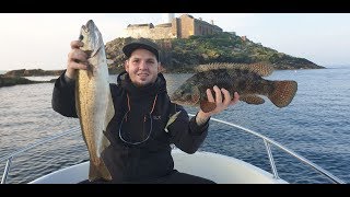 Sea Fishing in Dublin Skerries at Rockabill Lighthouse [upl. by Dimphia]