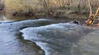 West Fork Stones River Barfield Crescent Park Murfreesboro TN 22624 [upl. by Frere]