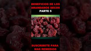 Beneficios De Los Arandanos Secos Que Beneficios Tiene El Arandano Para La Salud Parte 5 [upl. by Ahseek522]