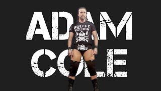 Adam Cole  quotADAM COLE BAYBAYquot NJPW Theme [upl. by Adnaloj]