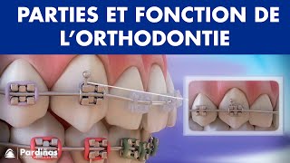 Appareil dentaire – Parties et fonction de l’orthodontie © [upl. by Leban]