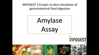 Amylase Activity Assay for the INFOGEST 20 Method for Food 2019 update in Nature Protocols [upl. by Prue]