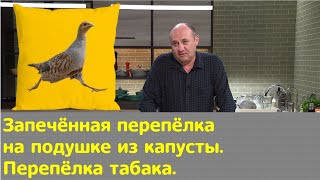 Кухня по заявкам  Запечённая перепёлка на подушке из капусты Перепёлка табака  Илья Лазерсон [upl. by Ariela]