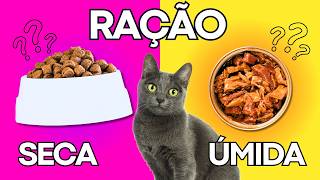 Ração seca ou úmida Descubra qual a melhor para o seu gato [upl. by Asen]