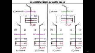 Lec10  Aldose Sugars [upl. by Zwiebel]