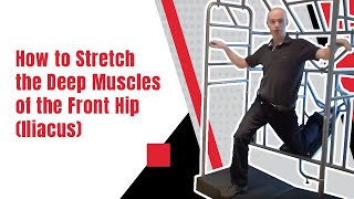 How to Stretch the Deep Muscles of the Front Hip Iliacus  Ed Paget [upl. by Meehan]