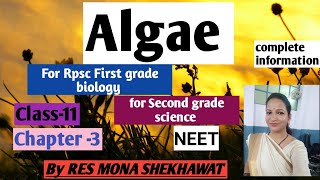 AlgaeClass11chapter3 forRpsc first grade biologyNEETSecond grade science by RES MONA SHEKHAWAT [upl. by Yunick]