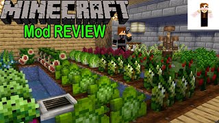 Pams HarvestCraft mod Review  La mejor comida de Minecraft  Minercaft ESPAÑOL 1122 [upl. by Adnirod]