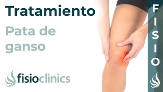 Tratamiento de la tendinitis de la pata de ganso  FisioClinics Palma de Mallorca [upl. by Meer]