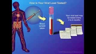 Viral Load and Monitoring [upl. by Enitsrik]