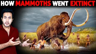 Who Killed The BIGGEST LAND ANIMALS  Wooly Mammoths [upl. by Gerhard]