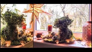 Sposób na roślinę w kuli z mchu DIY KOKEDAMA aka Moss Ball aka String Garden [upl. by Longo]