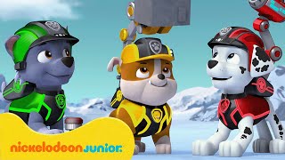 PAW Patrol  La Pat Patrouille  Les meilleures missions avec Sweetie   Nickelodeon Jr France [upl. by Evelinn]