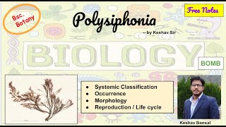 Polysiphonia  Morphology and Life cycle  Bsc  Free PDF notes  by Viologia EXtrema [upl. by Christiansen]