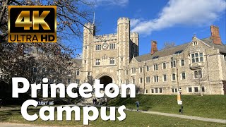 Princeton University  4K Campus Walking Tour [upl. by Valora455]