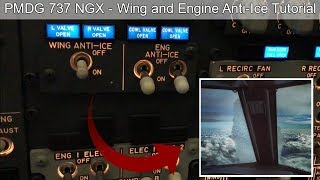 PMDG 737  Engine and Wing AntiIce Tutorial  Real 737 Pilot [upl. by Hulda]