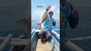 isdang blue seal fishingislife fishing seafood seafoodslover [upl. by Sherman]