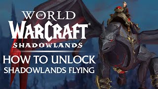 How to Unlock FLYING in Shadowlands  Patch 91 [upl. by Swehttam]