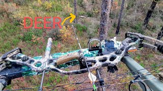 DEER HUNTING Florida Bow Season Public Land [upl. by Ahsiniuq429]