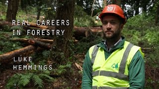 Real Careers in Forestry  Luke Hemmings [upl. by Staford]