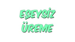 8dkda EŞEYSİZ ÜREME  10Sınıf [upl. by Norah]