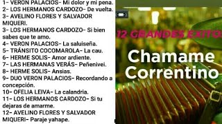 CHAMAMÉ CORRENTINOS Enganchados 12 GRANDES EXITOS [upl. by Culver308]