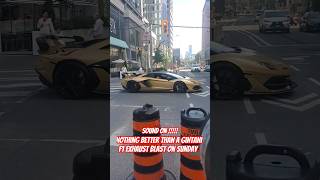 Gintani gintani gintanisvj cars automobile lamborghini svj straightpiped lol fast v12 [upl. by Trometer]