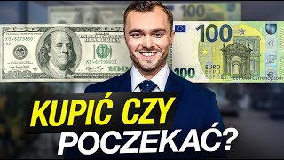 Dolary i Euro w 2024 Czas Kupować Teraz Moje Prognozy Dla Walut Na II Kwartał [upl. by Hunter]