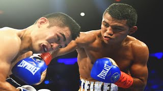 Roman Gonzalez vs Brian Viloria  Highlights Explosive FIGHT amp KNOCKOUT [upl. by Tacita]