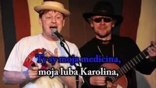 Moja medicina  serbski karaoke song [upl. by Yesllek]