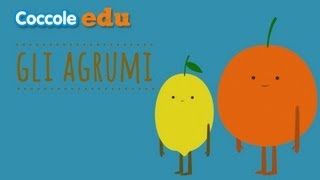 🍊Gli agrumi 🍋 Tutto ciò che cè da sapere  Coccole Edu [upl. by Jemine]