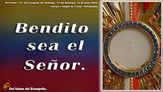 ENTRA EN LA PRESENCIA BENDITO SEA EL SEÑOR DIOS PODEROSO [upl. by Annwahsal53]