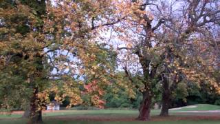 Autumn Greenkeeper Golf Course Murrayshall Scone Perth Perthshire Scotland [upl. by Oironoh]