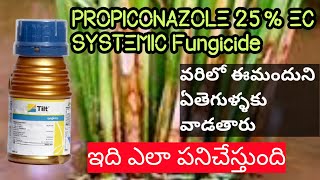 PROPICONAZOLE 25 EC SYSTEMICFungicide వరిలో పాముపొడ తెగులు నివారణhmrTELUGUAGRICULTURE [upl. by Annoirb410]