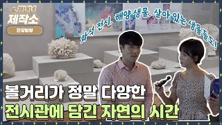 🔎현장탐방🔎 I 🐟해양 생물들의 과거🐋 I 생방송투데이 프리 [upl. by Sirob]