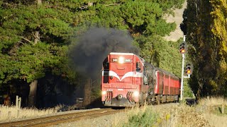 Da 1431 amp Ja 1271 On Their Last Leg To Blenheim [upl. by Gneh]