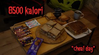 PONAD 8500 Kalorii w Jeden Dzień EPICKI Cheat Day Challenge 🍔🍕🍩 [upl. by Shara]